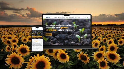 Enhanced user experience and content management with Drupal website - Syngenta - Meta - Lemberg Solutions.jpg